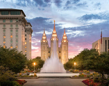 Load image into Gallery viewer, Salt Lake Fountain
