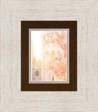 Load image into Gallery viewer, Salt Lake Blossom Glow
