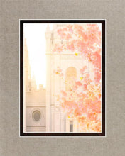 Load image into Gallery viewer, Salt Lake Blossom Glow
