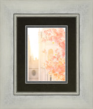 Load image into Gallery viewer, Salt Lake Blossom Glow

