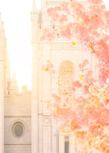 Load image into Gallery viewer, Salt Lake Blossom Glow
