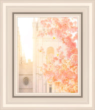 Load image into Gallery viewer, Salt Lake Blossom Glow
