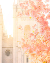 Load image into Gallery viewer, Salt Lake Blossom Glow
