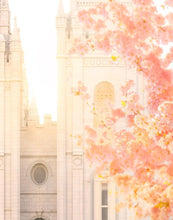 Load image into Gallery viewer, Salt Lake Blossom Glow
