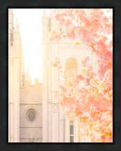 Load image into Gallery viewer, Salt Lake Blossom Glow
