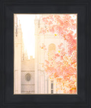 Load image into Gallery viewer, Salt Lake Blossom Glow
