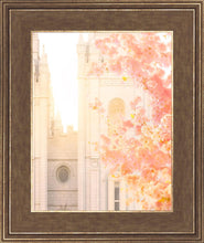 Load image into Gallery viewer, Salt Lake Blossom Glow
