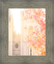 Load image into Gallery viewer, Salt Lake Blossom Glow
