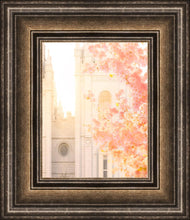 Load image into Gallery viewer, Salt Lake Blossom Glow
