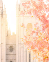 Load image into Gallery viewer, Salt Lake Blossom Glow
