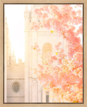 Load image into Gallery viewer, Salt Lake Blossom Glow
