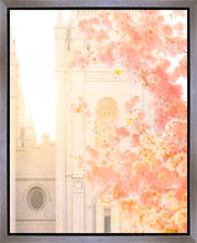 Load image into Gallery viewer, Salt Lake Blossom Glow
