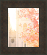 Load image into Gallery viewer, Salt Lake Blossom Glow
