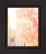 Load image into Gallery viewer, Salt Lake Blossom Glow
