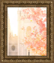 Load image into Gallery viewer, Salt Lake Blossom Glow
