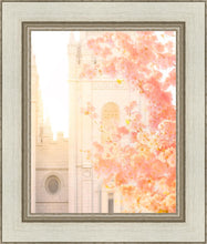 Load image into Gallery viewer, Salt Lake Blossom Glow
