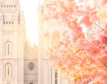 Load image into Gallery viewer, Salt Lake Blossom Glow
