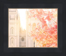 Load image into Gallery viewer, Salt Lake Blossom Glow
