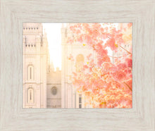 Load image into Gallery viewer, Salt Lake Blossom Glow
