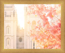 Load image into Gallery viewer, Salt Lake Blossom Glow
