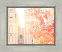 Load image into Gallery viewer, Salt Lake Blossom Glow

