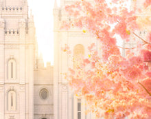 Load image into Gallery viewer, Salt Lake Blossom Glow
