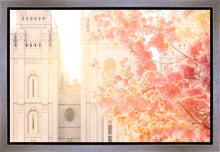 Load image into Gallery viewer, Salt Lake Blossom Glow
