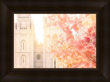 Load image into Gallery viewer, Salt Lake Blossom Glow
