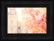 Load image into Gallery viewer, Salt Lake Blossom Glow
