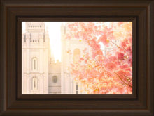 Load image into Gallery viewer, Salt Lake Blossom Glow
