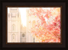 Load image into Gallery viewer, Salt Lake Blossom Glow
