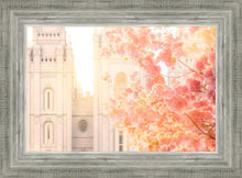 Load image into Gallery viewer, Salt Lake Blossom Glow
