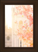 Load image into Gallery viewer, Salt Lake Blossom Glow
