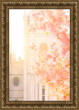 Load image into Gallery viewer, Salt Lake Blossom Glow
