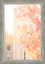 Load image into Gallery viewer, Salt Lake Blossom Glow
