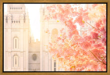 Load image into Gallery viewer, Salt Lake Blossom Glow
