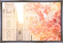 Load image into Gallery viewer, Salt Lake Blossom Glow
