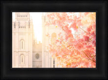 Load image into Gallery viewer, Salt Lake Blossom Glow
