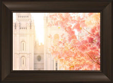 Load image into Gallery viewer, Salt Lake Blossom Glow
