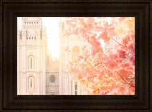 Load image into Gallery viewer, Salt Lake Blossom Glow
