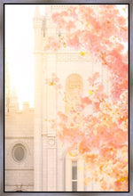 Load image into Gallery viewer, Salt Lake Blossom Glow
