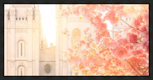 Load image into Gallery viewer, Salt Lake Blossom Glow
