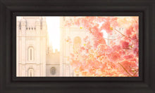 Load image into Gallery viewer, Salt Lake Blossom Glow

