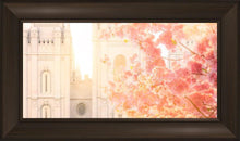 Load image into Gallery viewer, Salt Lake Blossom Glow
