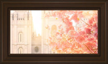 Load image into Gallery viewer, Salt Lake Blossom Glow
