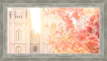 Load image into Gallery viewer, Salt Lake Blossom Glow
