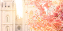 Load image into Gallery viewer, Salt Lake Blossom Glow
