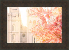 Load image into Gallery viewer, Salt Lake Blossom Glow
