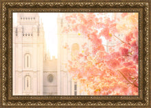 Load image into Gallery viewer, Salt Lake Blossom Glow

