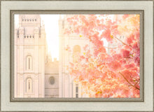 Load image into Gallery viewer, Salt Lake Blossom Glow
